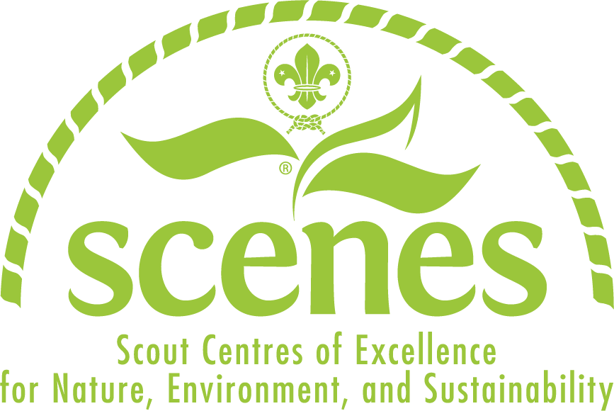 SCENES logo