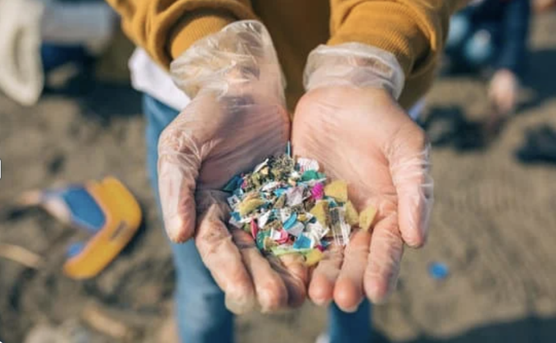 TTP MIcroplastics 