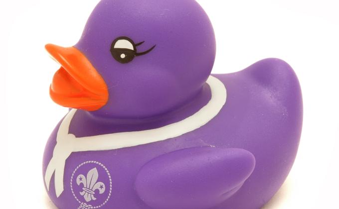 World Scout Duck