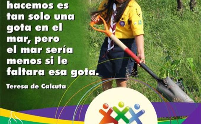 Dia del voluntariado