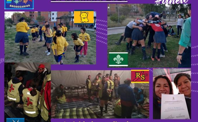 Actividades 26 enero 2019