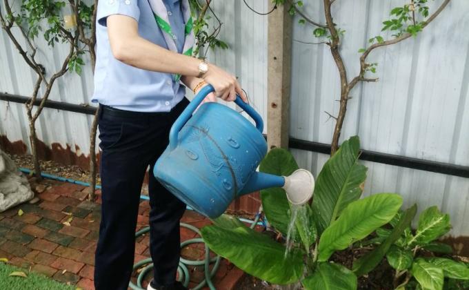 ดูแลต้นไม้ในโรงเรียน