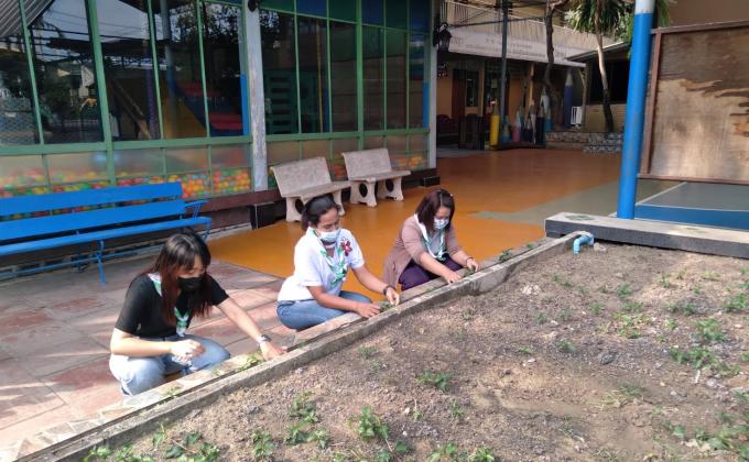 ปลูกผัก