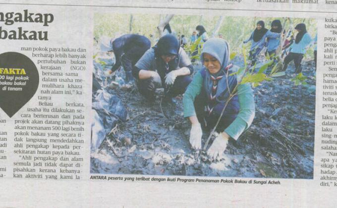 Bakti Pengakap - Penanaman 500 Pokok Paya Bakau sempena Hari Paya Sedunia