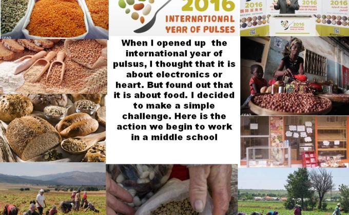 INTERNATIONAL YEAR OF PULSES