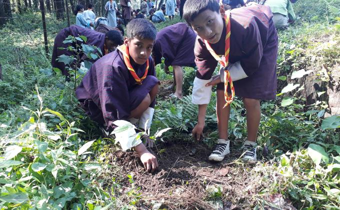 Planted trees to celebrate International Peace Day