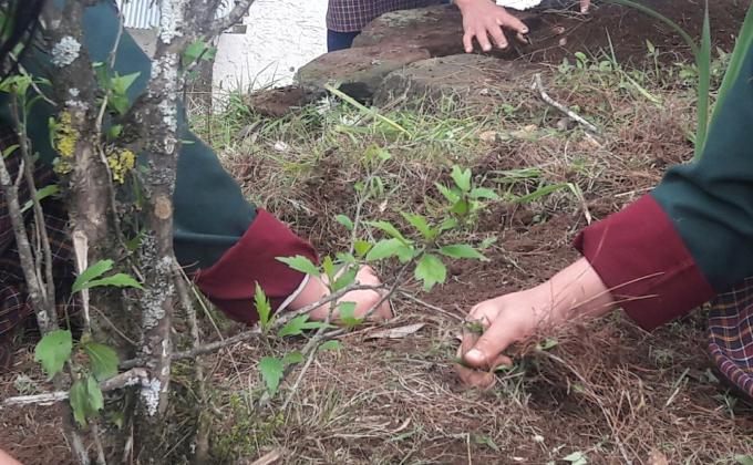 June 2, 2018 Social Forestry Day celebration