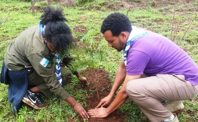 Ethiopian Scouts; planting a seedling 