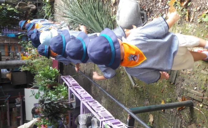 ช่วยกันดูแลต้นไม้