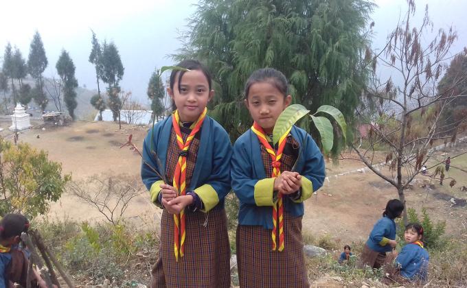 Beating air pollution by mass plantation.