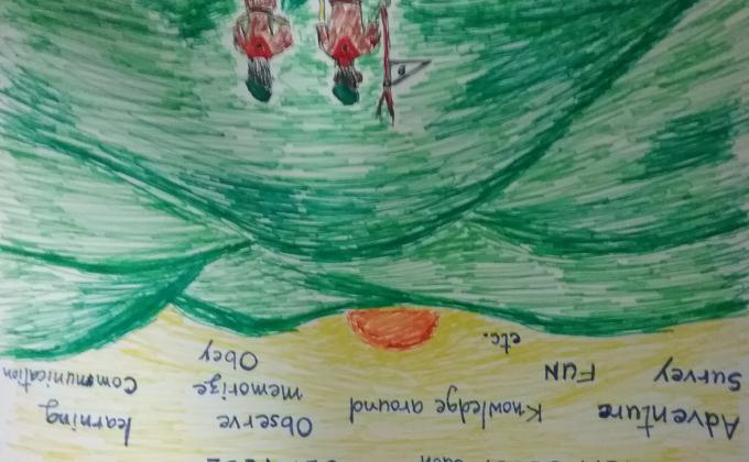 Rover scout And Survey