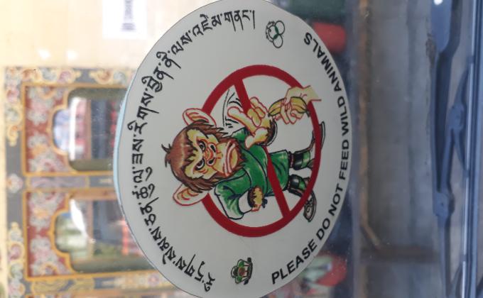 Monkey Awareness Program