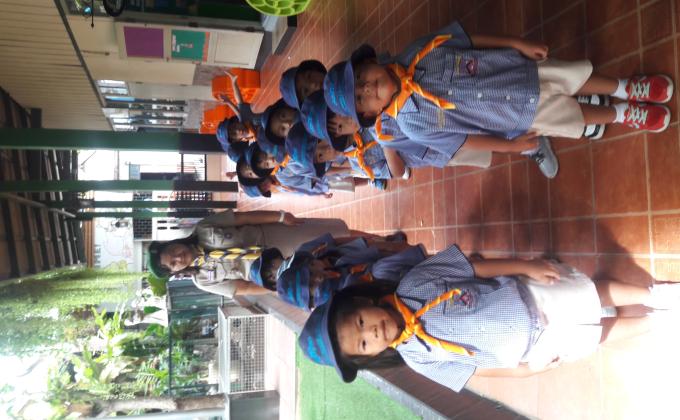 ฝึกระเบียบแถว