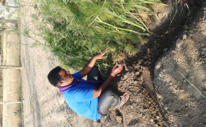 World Earth day