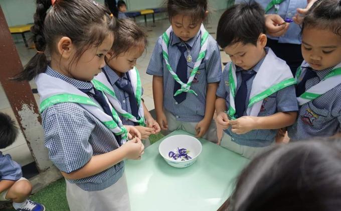 การทำน้ำอัญชัน