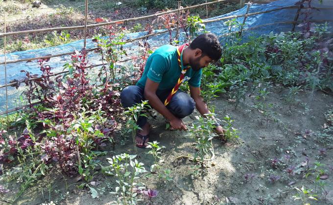  বাংলাদেশ স্কাউট ওর সদস্যরা খাদ্য সংকট কমাতে বাড়ির আঙিনায় সবজির বাগান চাষ করছে 
