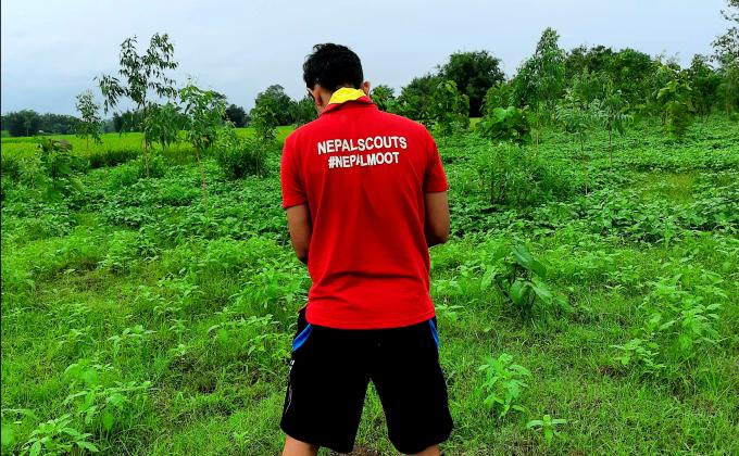 Tree Planting on "International Peace Day 2020"