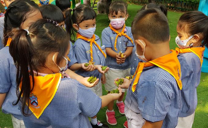 ลูกเสือทำความดี