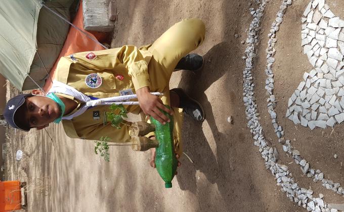 Environment  - Green wall