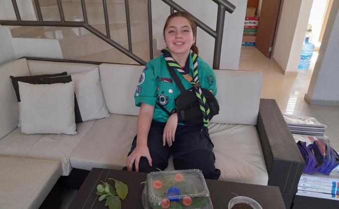 Go solar 2021 proyecto 11