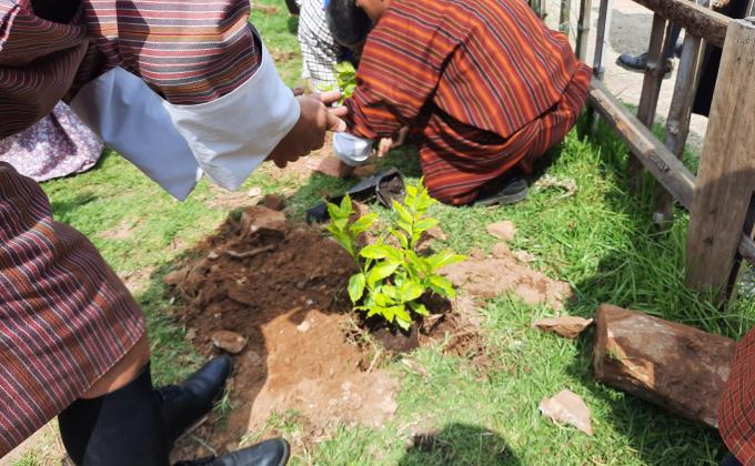 observing International Environmental Day