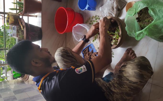 In an effort to protect the environment by planting small trees