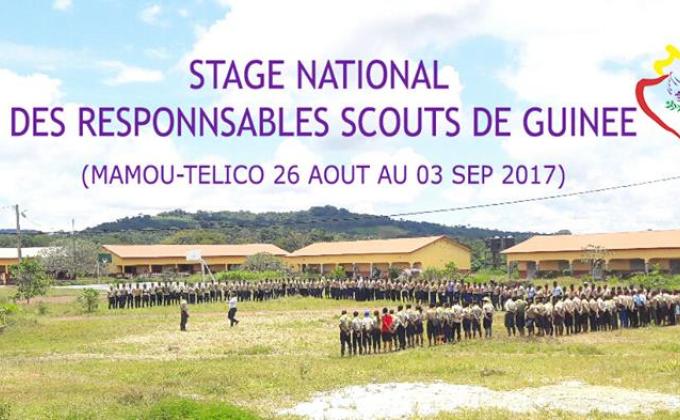 Rapport provisoire, projet de renforcement de la capacité en Bonne Gouvernance et Leadership de l'Association National des Scouts de Guinée