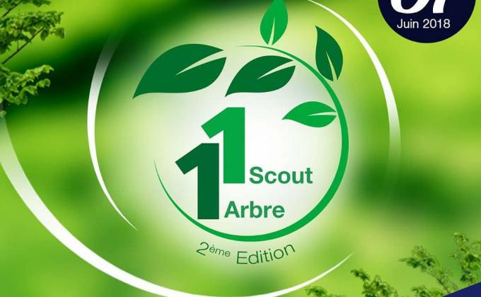 appel à la célébration de la journée internationale de l'arbre