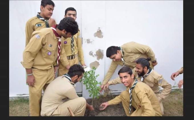 Plantation Activicty 