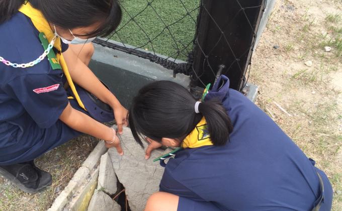 จัดของที่พัง