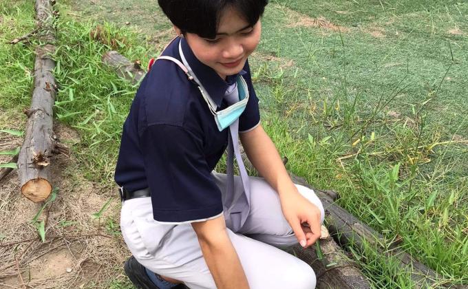 เก็บขยะ