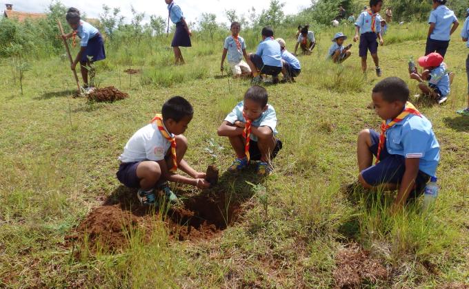 La campagne de reboisement 2021 des scouts de Madagascar en chiffre