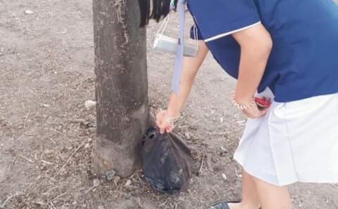 เก็บขยะ