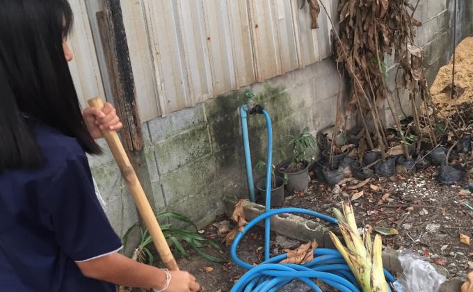 กวาดใบไม้