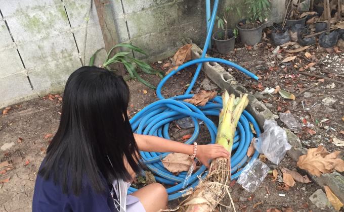 เก็บขยะชิ้นใหญ่