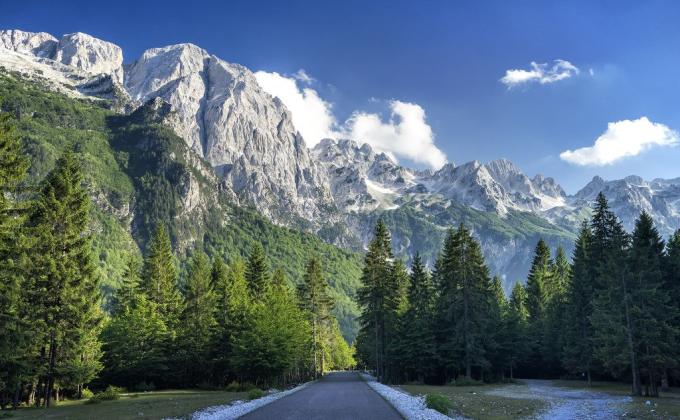 Help Us In Protecting Of Albania Natural Beauties. Forest Are Being Cutted Abnormally, Animals Being Massive Killed Some Endemic Plants Are Dissapering, Seas Are Polluted We Need To Do Something Before Everything Is Erased. 
