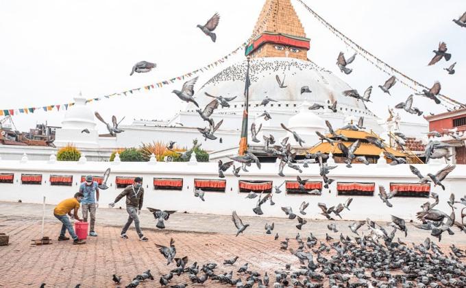 VOLUNTEER TOWARDS COMMUNITY