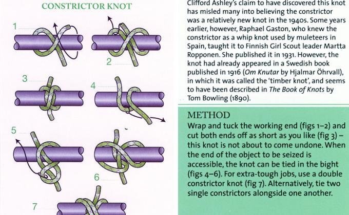 Knot Day Thursday!