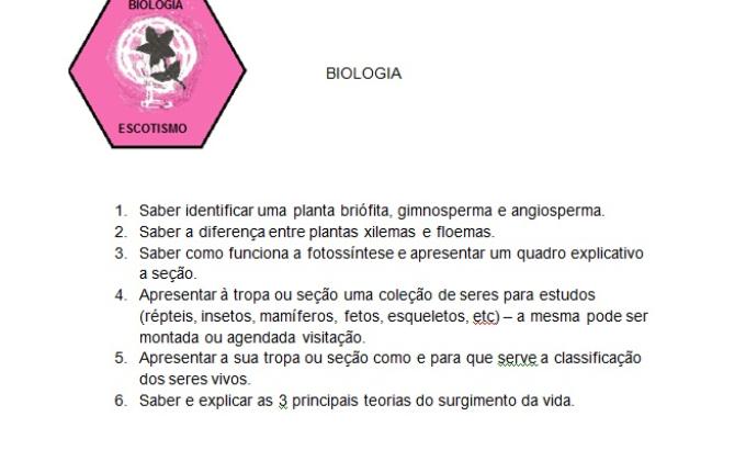 Algumas tarefas realizadas!!! (criar especialidade, mandala, a invenção do século, abraço apertado, bento...)