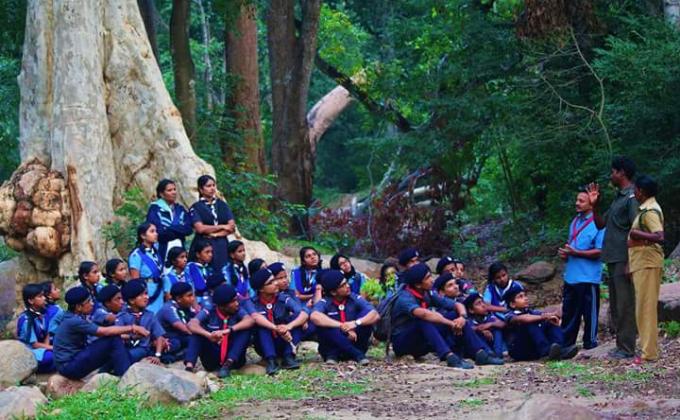 Nature Study Camp