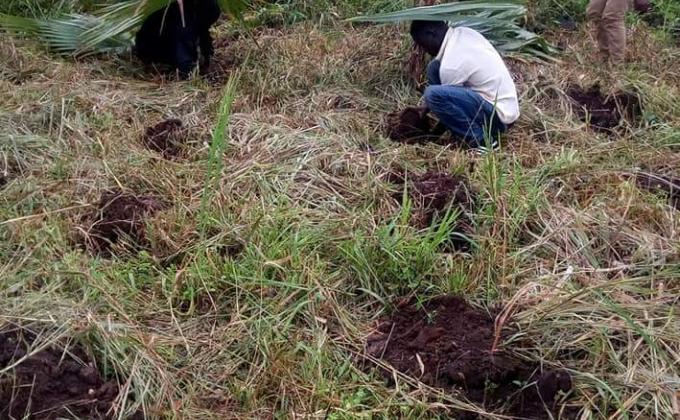 Tree planting campaign by Elgon Rover crew in Gulu Northern Uganda 