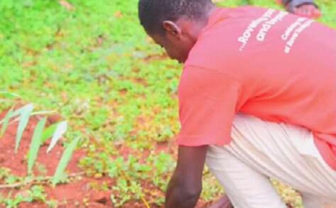 During Environmental Day, we campaign against cutting of trees, teenagers pregnancy and we planted 100 trees,we cleaned Siaya town and educated people the important of environment