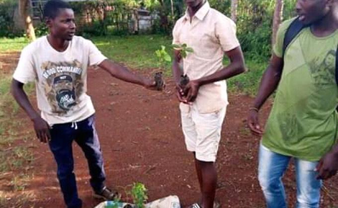 I donated trees to Awelo Anglican Church of Kenya, the youths will plant trees in remembers of EARLY PREGNANCY  and HIV/AIDS 