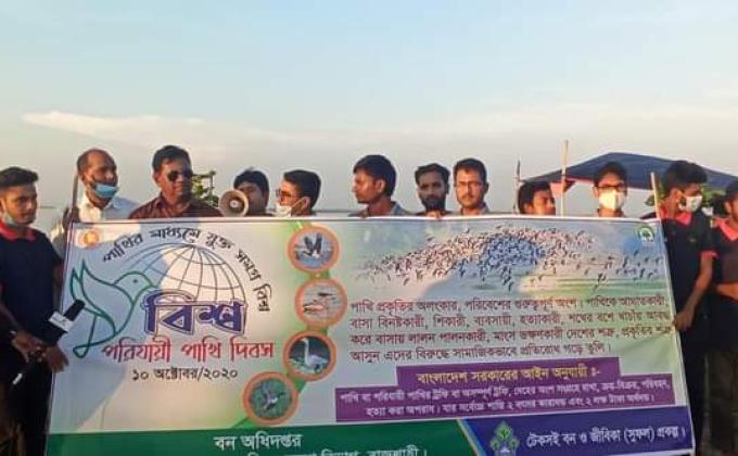  বিশ্ব পরিযায়ী পাখী দিবস-২০২০
