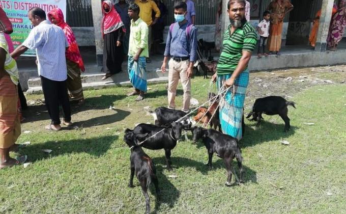 Rotary Club of Dhaka Urbana Distributed livestock(Goats) at Gaibandha