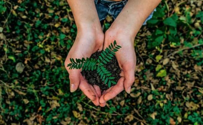 TAKE CARE OF EARTH