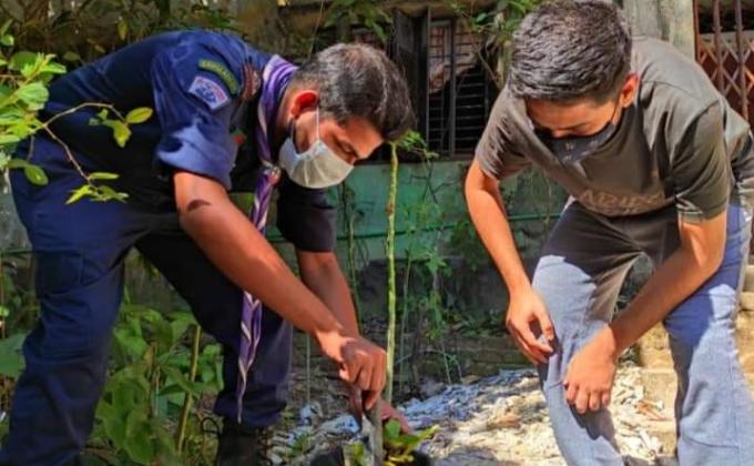 "প্লাষ্টিক টাইড টার্নার চ্যালেঞ্জ ব্যাজ'' - প্রারম্ভিক পর্যায়