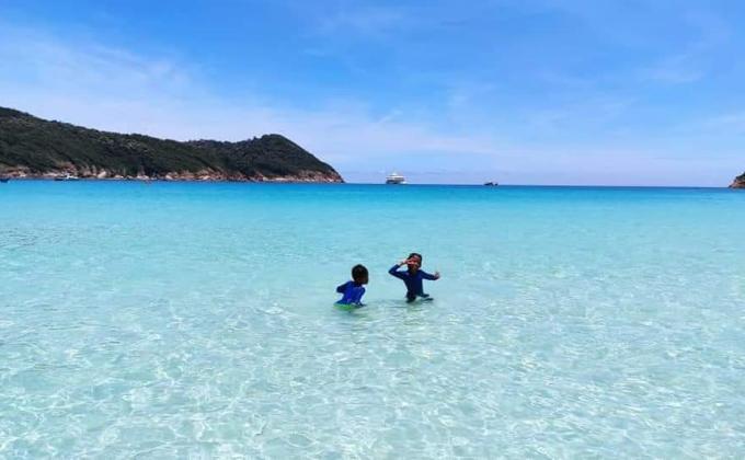 A clean beach for marine life