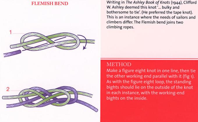 Scouts Love Knots!