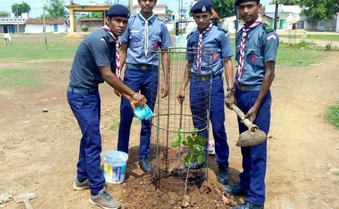 वृक्षारोपण